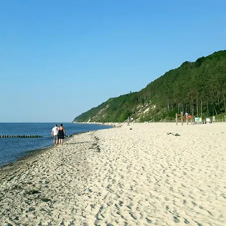 Und Wald Miedzyzdroje